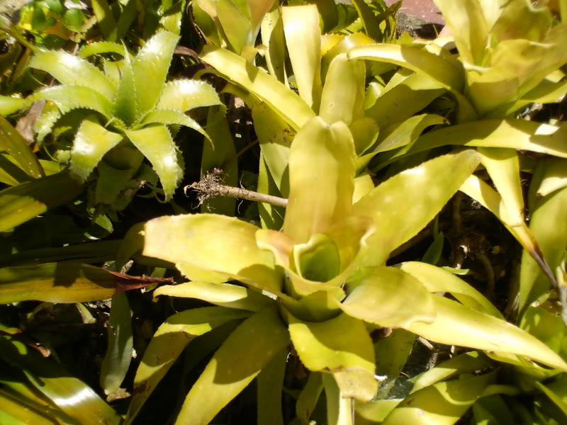 Imagen011.jpg