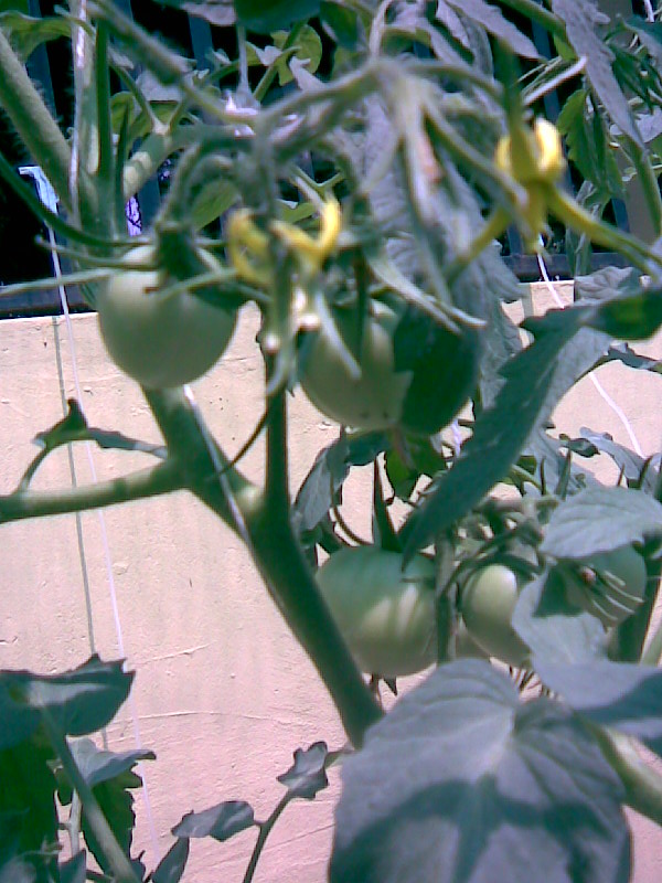 Imagen012.jpg