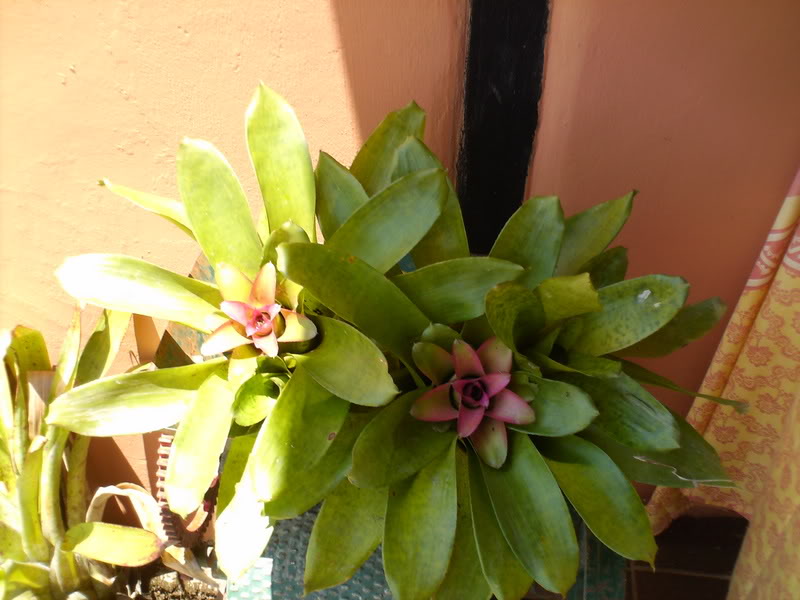 Imagen012.jpg