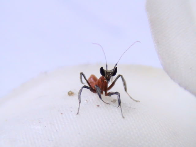 Imagen012.jpg