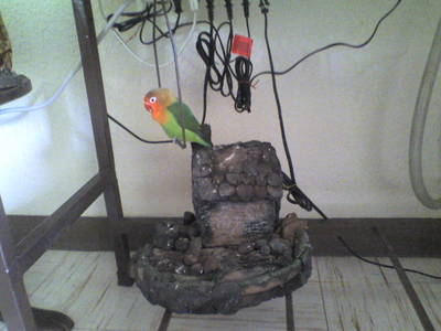 Imagen0122.jpg