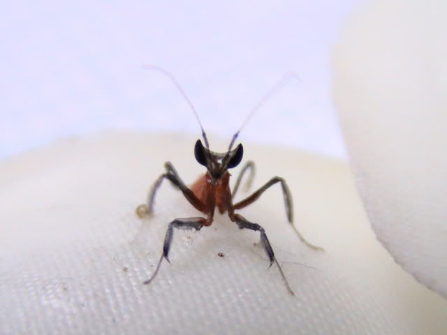 Imagen013.jpg