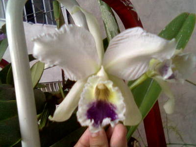 Imagen0131.jpg