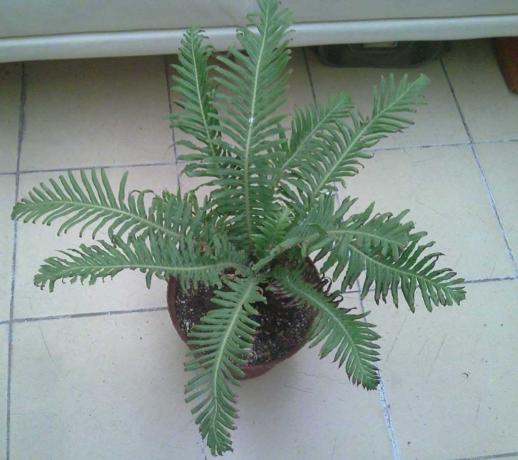Imagen0135.jpg