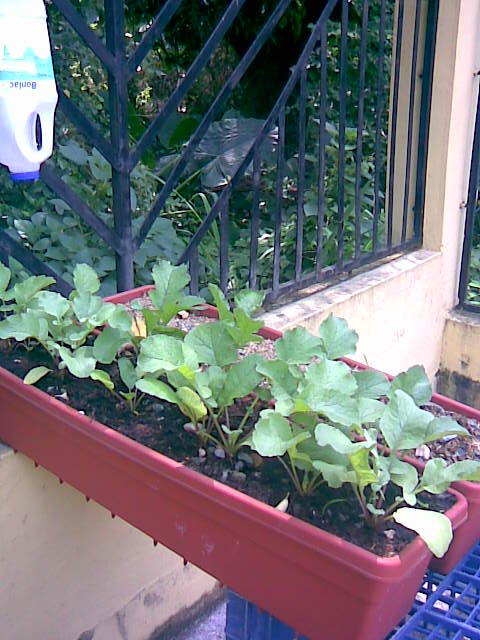 Imagen014.jpg