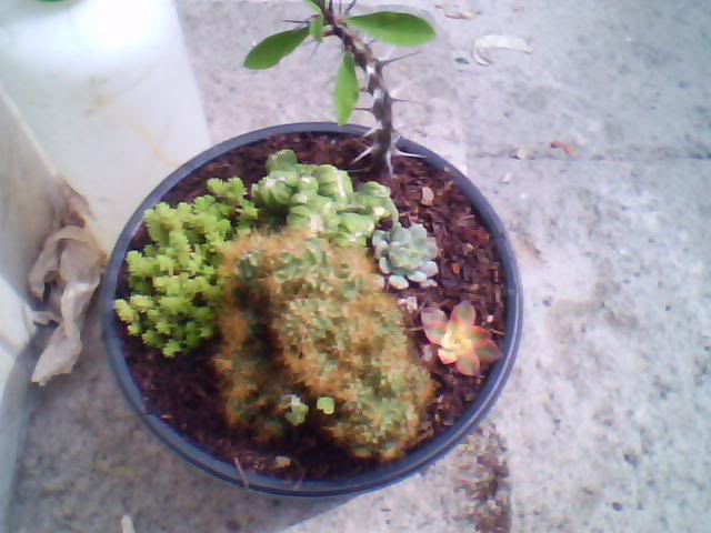 Imagen015-7.jpg
