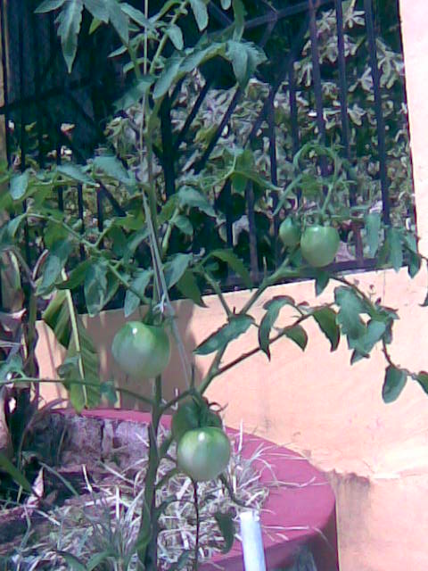 Imagen015.jpg