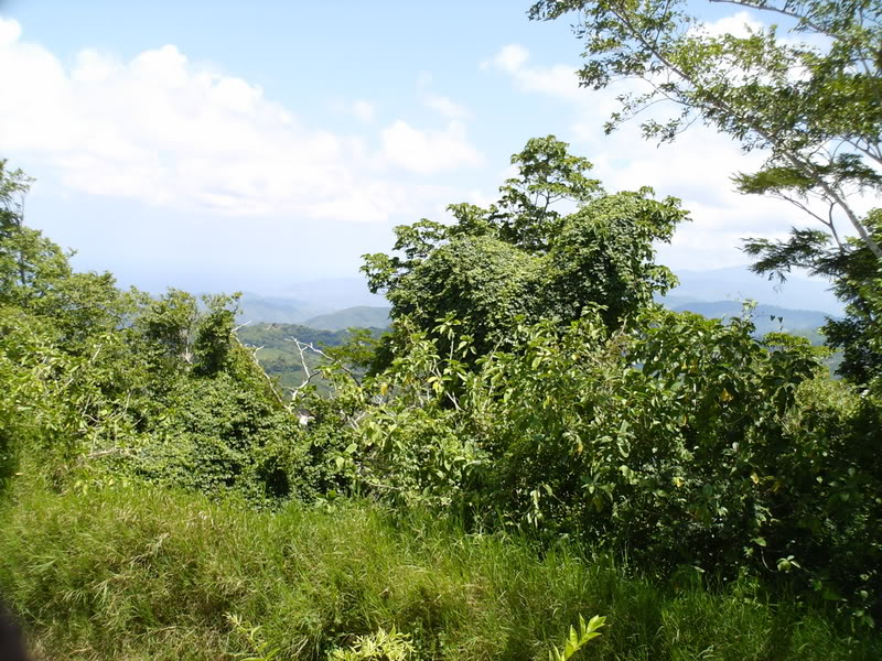 Imagen015.jpg