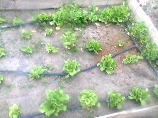 Imagen015.jpg