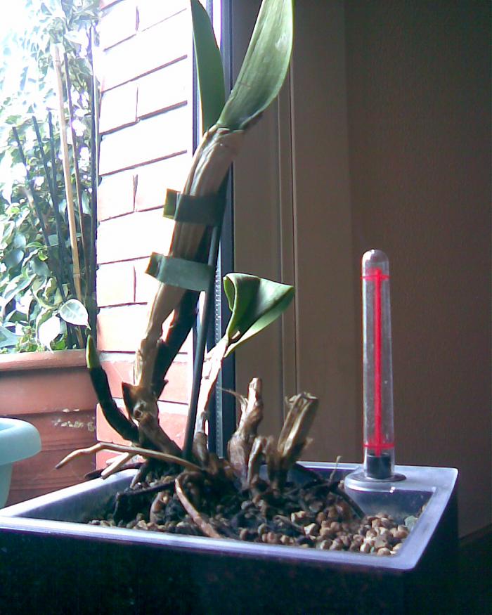 Imagen016.jpg