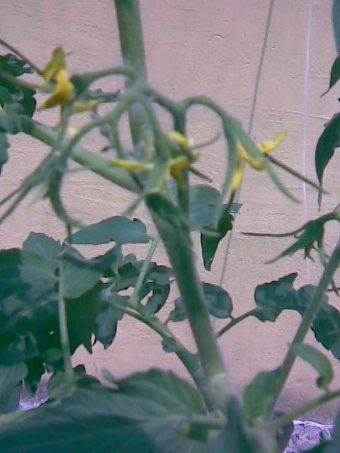 Imagen017.jpg