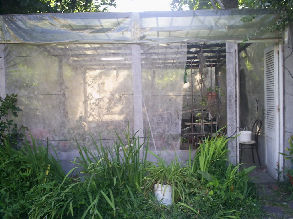 Imagen018.jpg