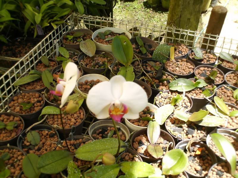 Imagen018.jpg