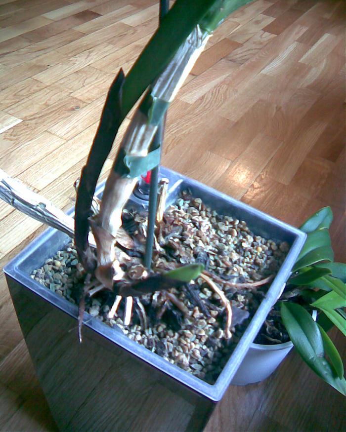 Imagen018.jpg