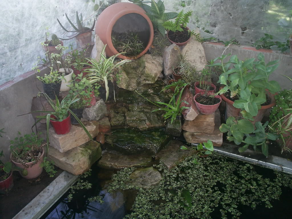 Imagen019.jpg
