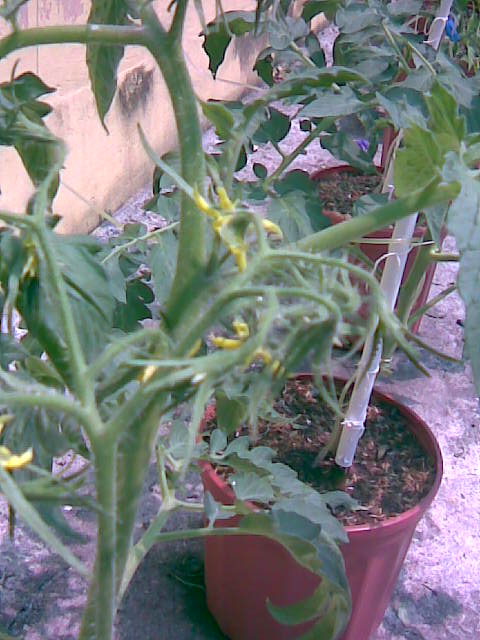 Imagen019.jpg