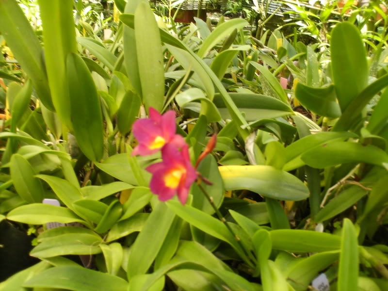 Imagen019.jpg