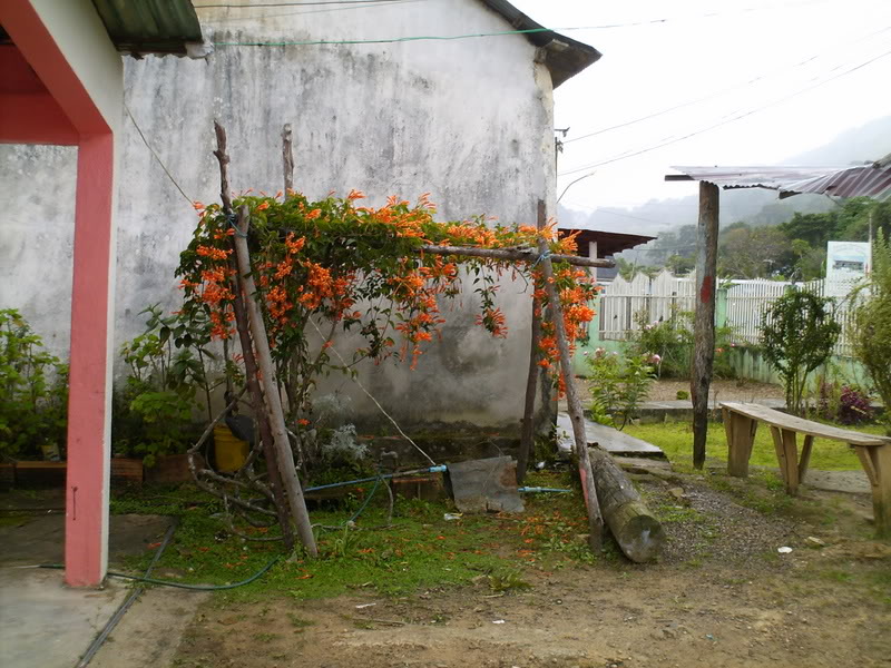 Imagen020-1.jpg