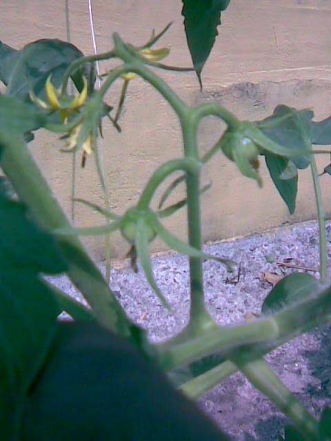 Imagen020.jpg