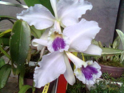 Imagen021.jpg