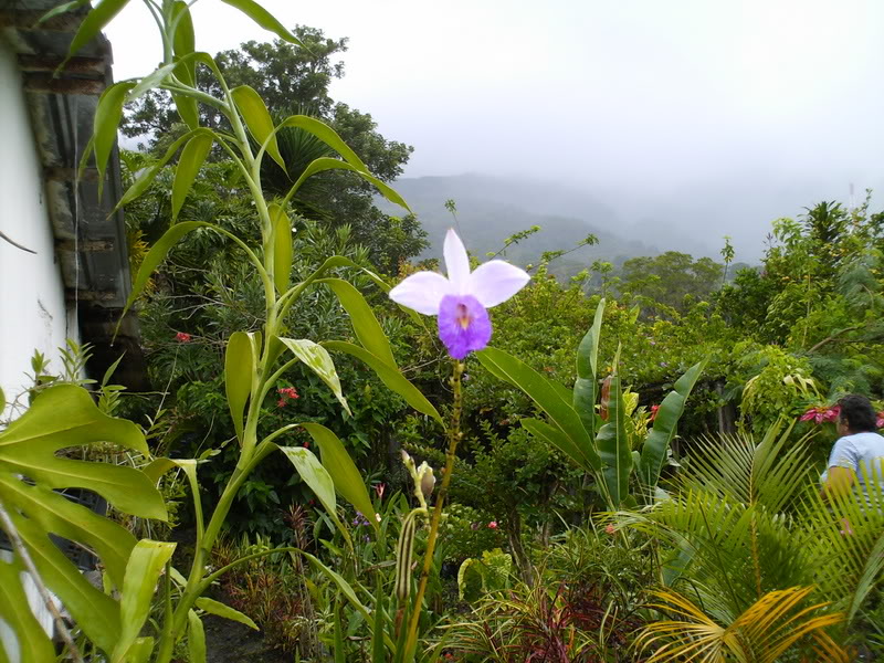Imagen022-1.jpg