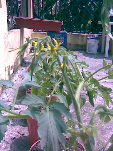 Imagen022.jpg