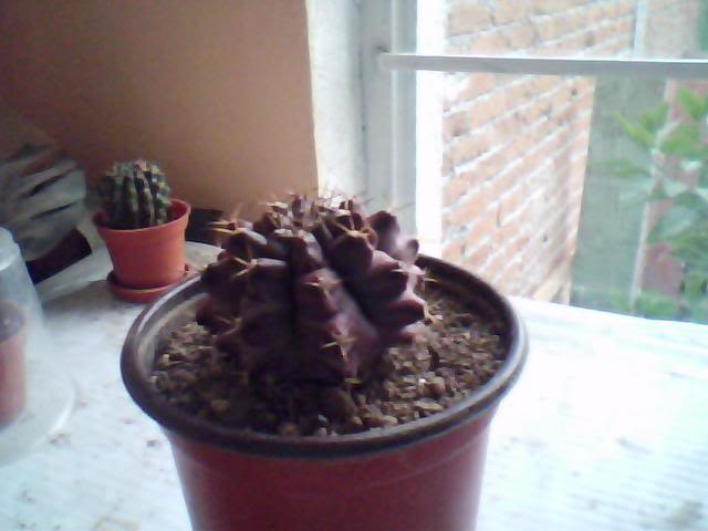 Imagen022.jpg