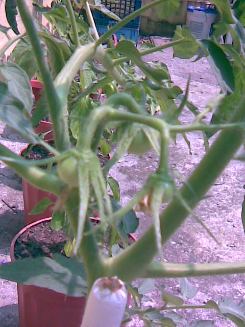 Imagen023.jpg