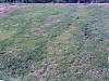 Imagen023.jpg
