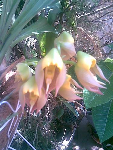 Imagen0231.jpg