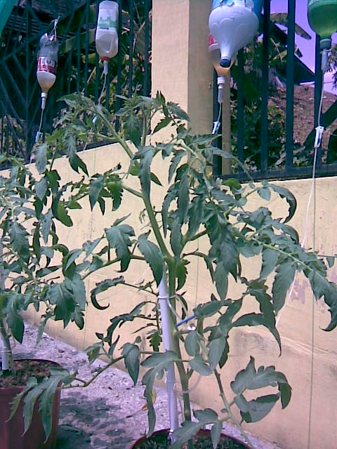 Imagen024.jpg