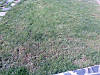 Imagen024.jpg