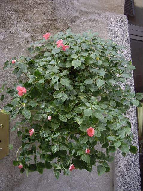 Imagen024.jpg