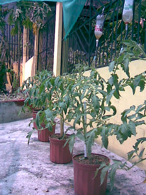 Imagen025.jpg