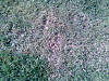 Imagen025.jpg