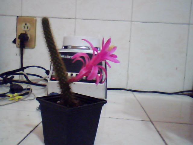 Imagen026-3.jpg