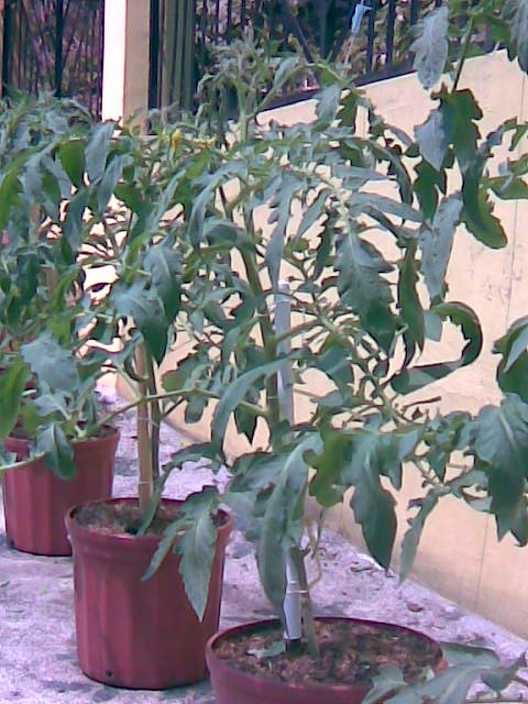 Imagen026.jpg