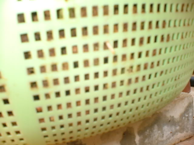 Imagen027.jpg