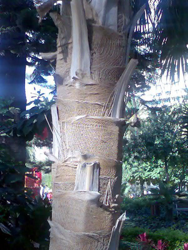 Imagen0272.jpg