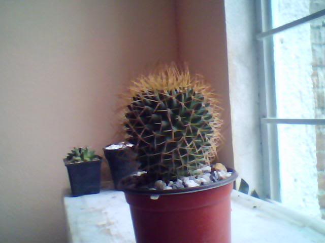 Imagen028-2.jpg