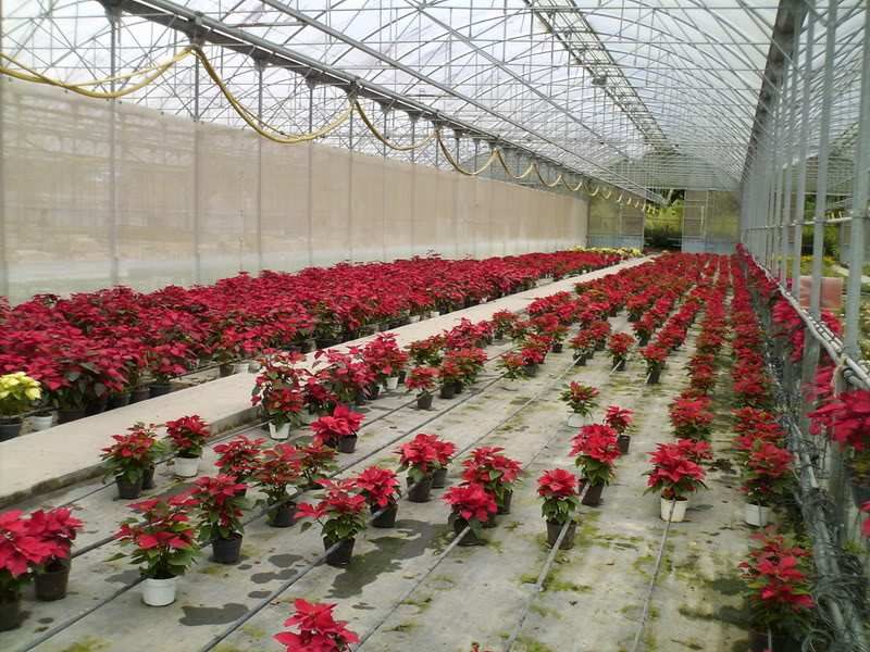 Imagen028.jpg