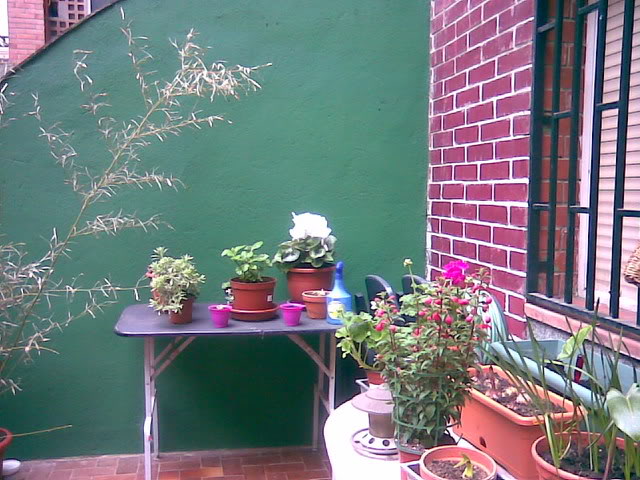 Imagen029.jpg