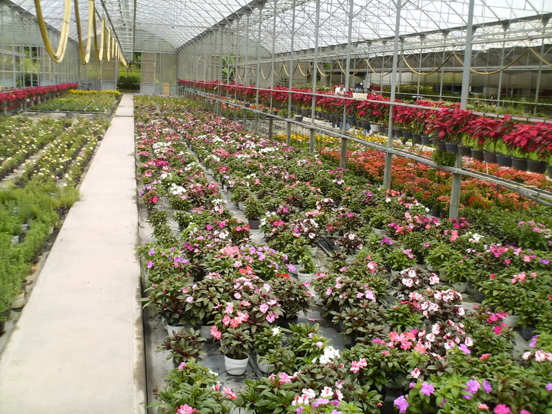 Imagen029.jpg