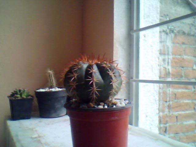 Imagen029.jpg