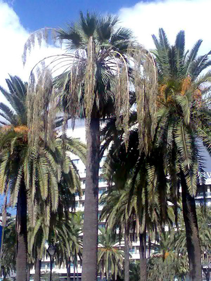 Imagen0293.jpg