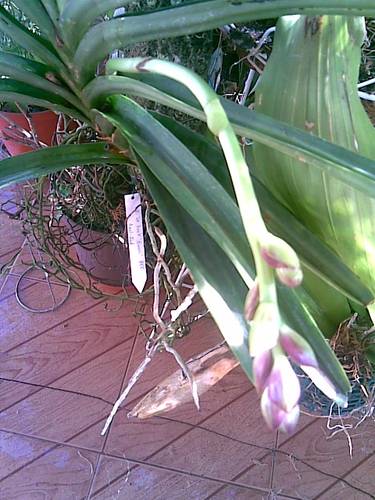 Imagen031.jpg