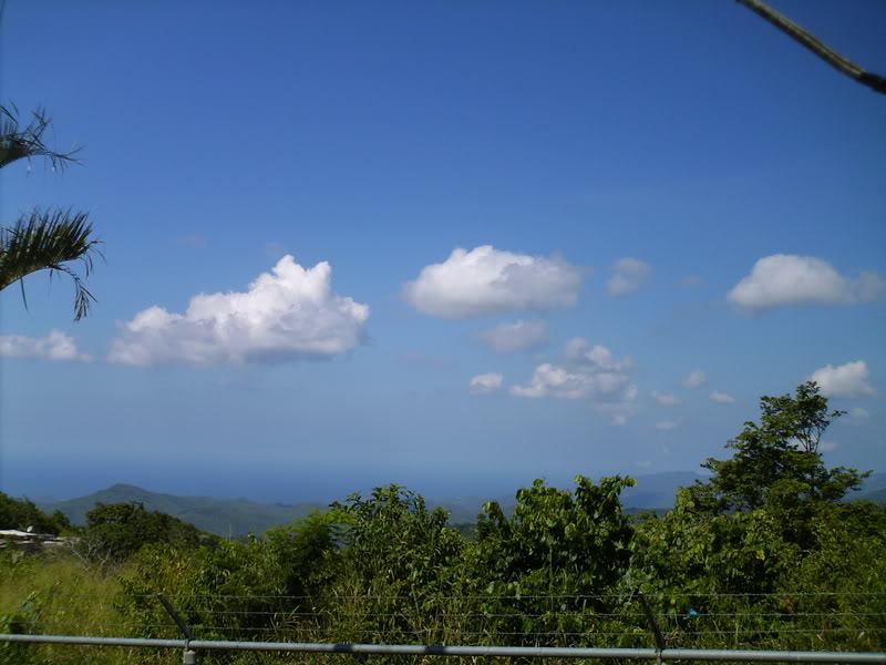 Imagen033.jpg