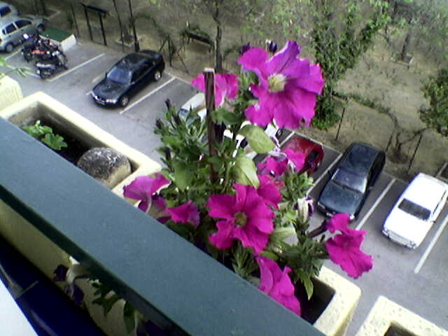 Imagen034.jpg