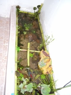 Imagen035-3-1.jpg