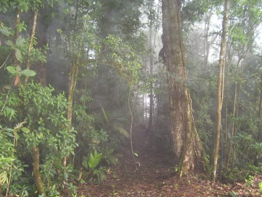 Imagen035.jpg